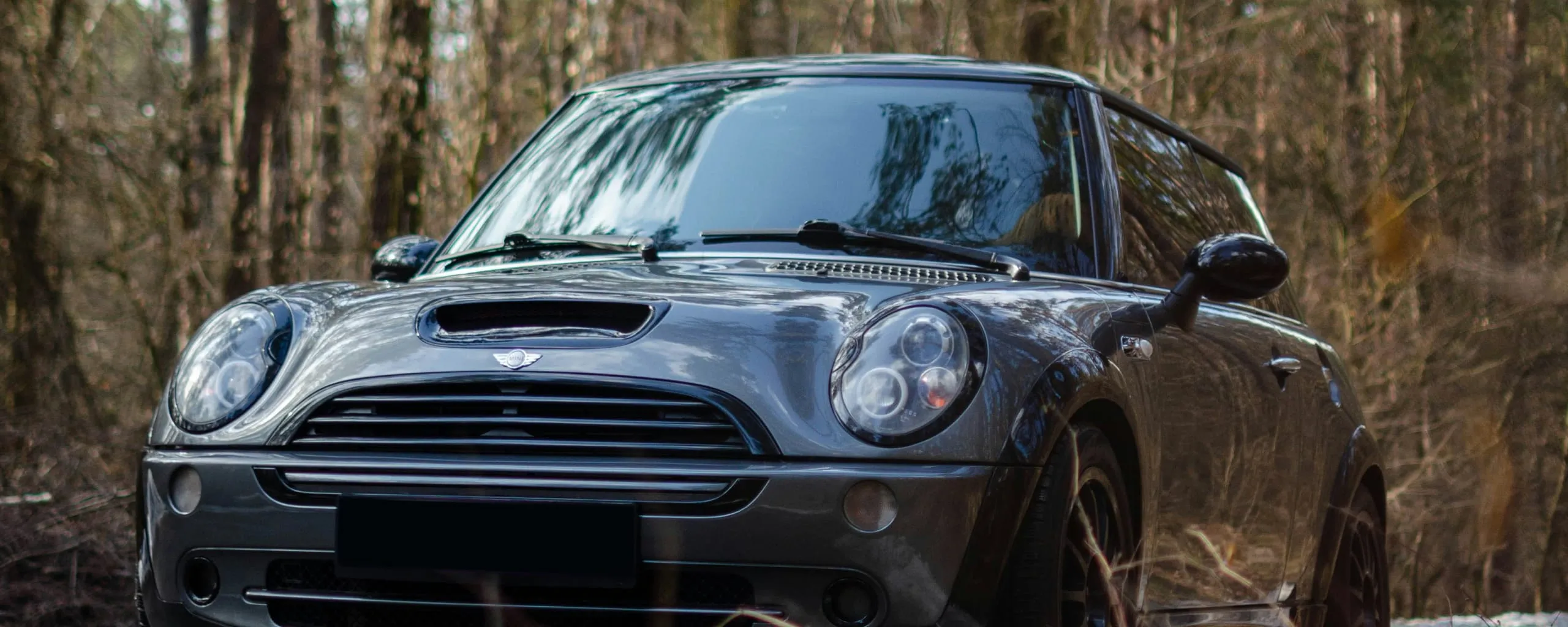 MINI Repair and Service near Texas