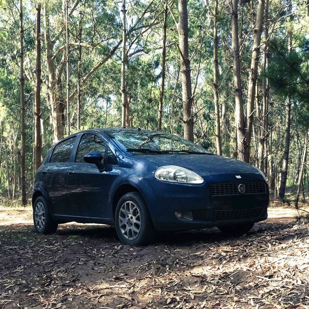 Fiat Repair and Service in Texas