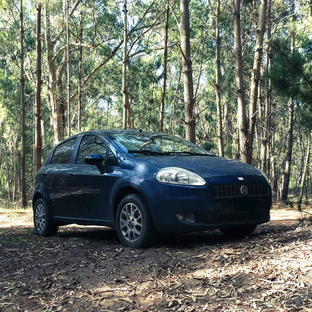 Fiat Repair and Service in Texas