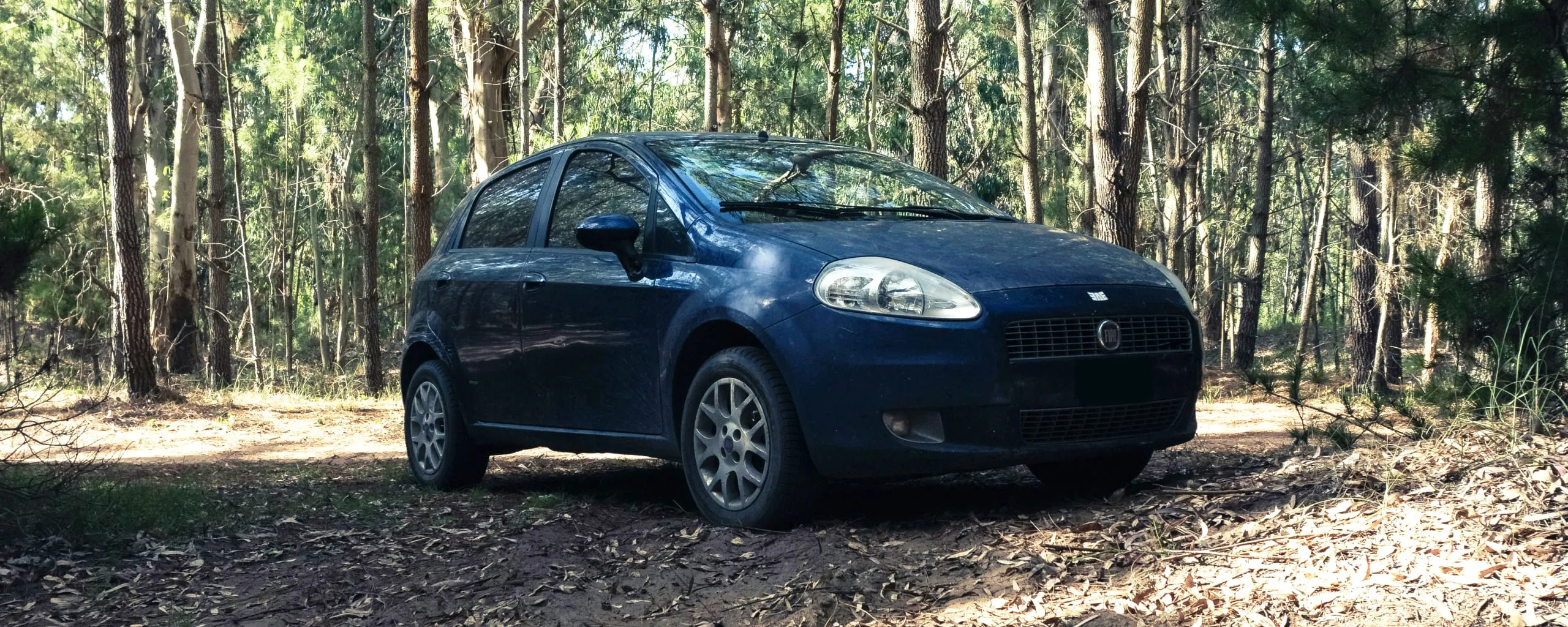 Fiat Repair and Service near Texas